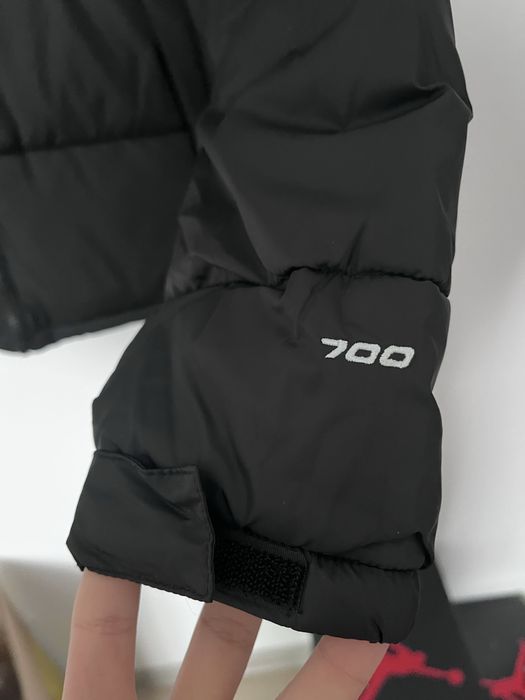 Geaca The north face