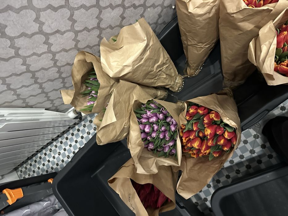 Тюльпаны 350тг !!!