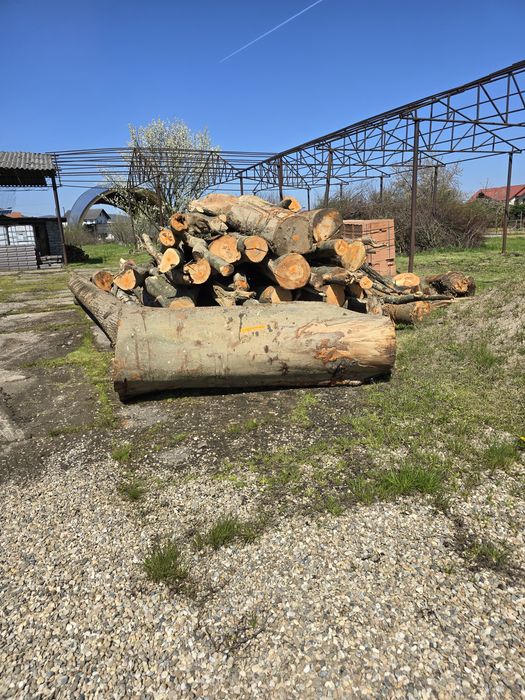 Depozit lemn foc JIBOU