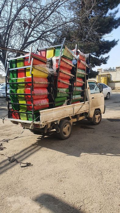 Лабо хизмати 24 соат