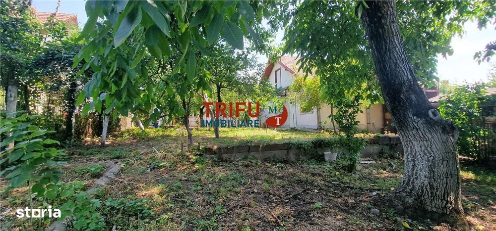 Casă individuală cu curte verde, pe cea mai frumoasă stradă din Centru