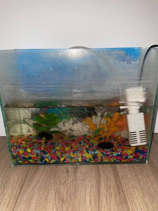 Продам аквариум и рыбы