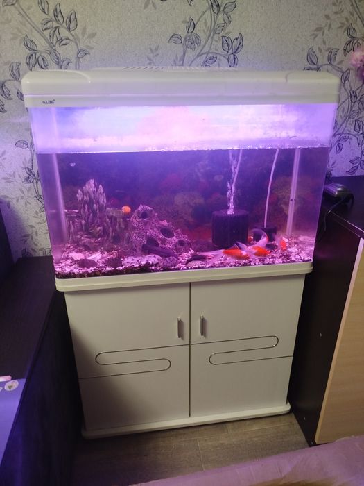 Продам Аквариум с тумбой