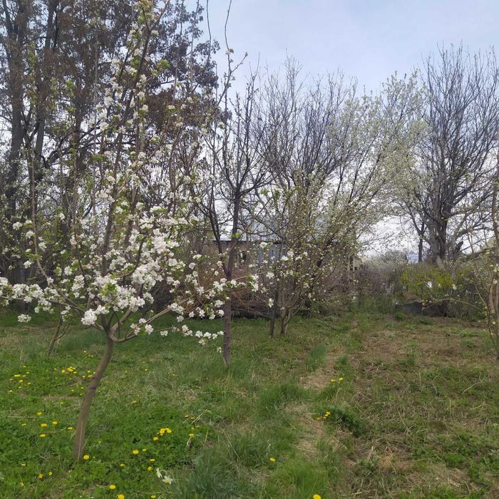 Участок 6 соток.