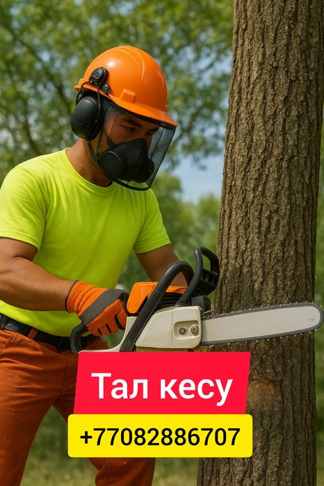 Тал кесу , Спил деревьев , Спилить дерево,  Вывоз мусора , Уборка