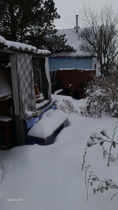 Срочно продается дача в  обществе ромашка