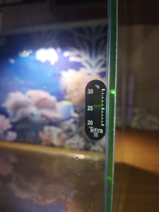 Продам аквариум с декорациями