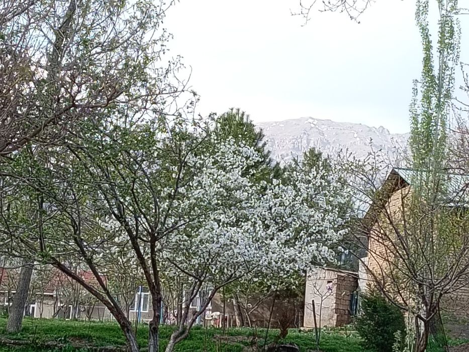 Тошкент вилоятида Бостонлик тумани октошда участка Ер сотилади