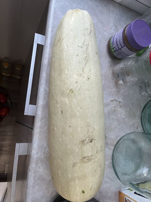 Продам кабачки дешево