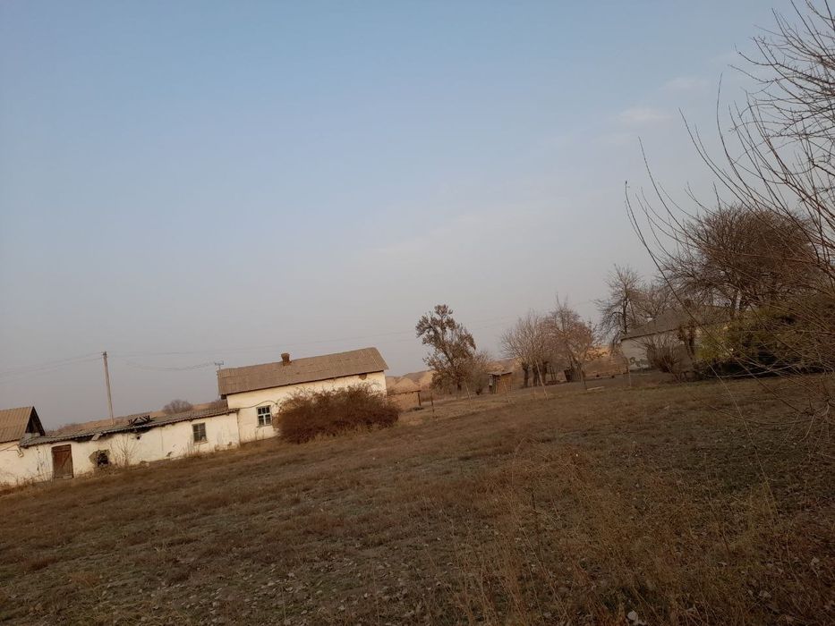 Sirdaryo viloyati Sirdaryo tumanida xovli sotiladi daryo boyida