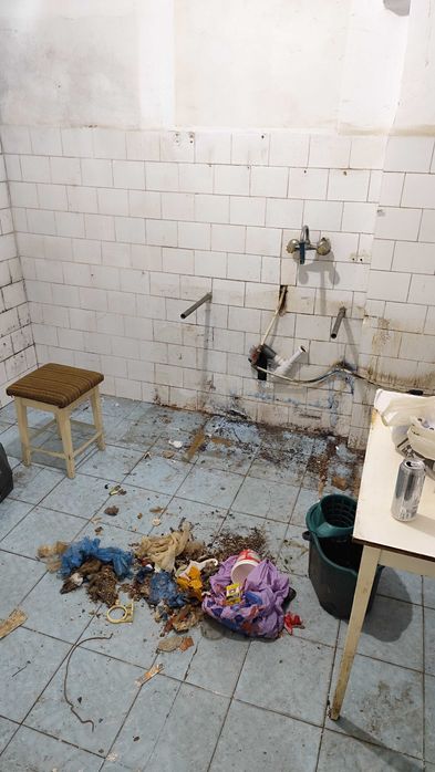 Menaj, curățenie, îngrijire animale de companie