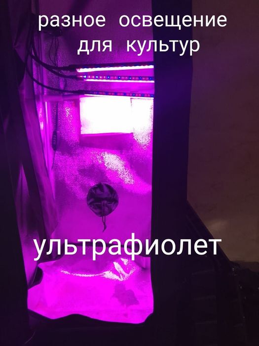 Продаётся Growbox с подарками внутри