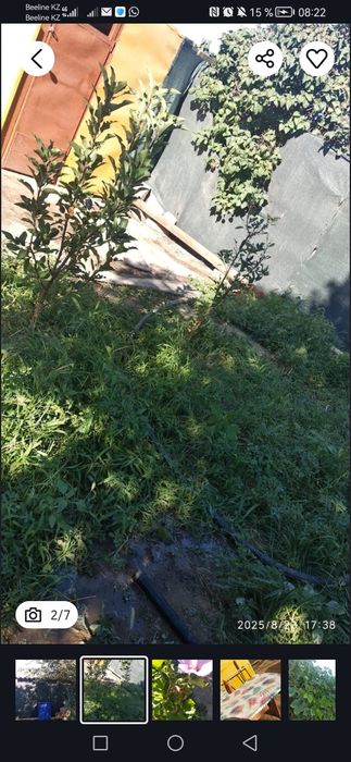 Продам огородный участок