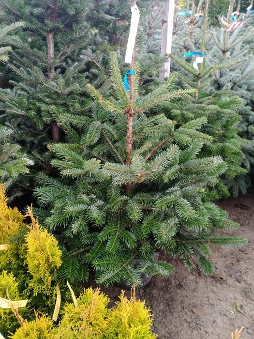 Гарантия качество