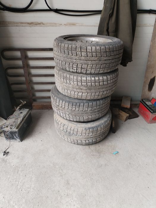 225,55,16 бмв титанки