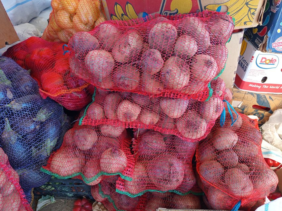 Sfecla roșie Pablo