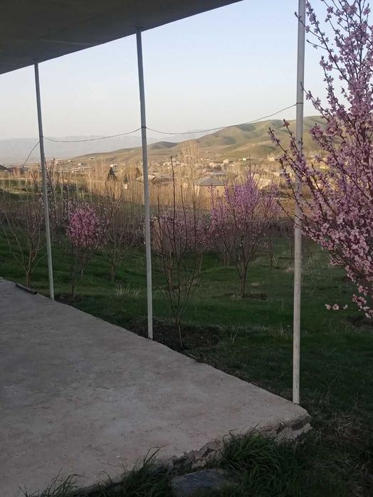 DACHA BOG`Уй жой боғ 70 сотх 400  туп вояга етган мевали дарахтлари