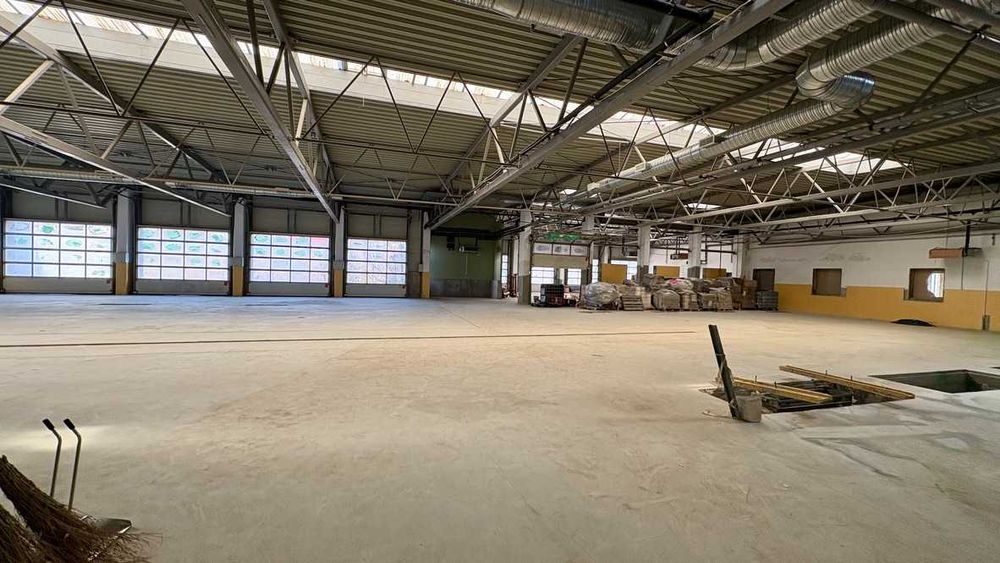 Hală 7.646 mp pe un teren de 35.092 mp + 1MW energie – Valu lui Traian