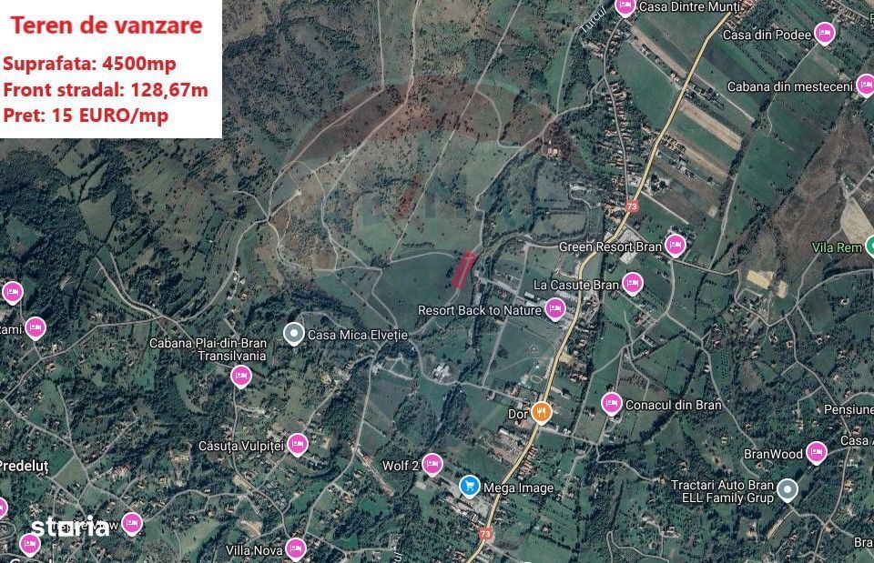 Teren Tohanul Nou 4500mp, in spate Wolf
