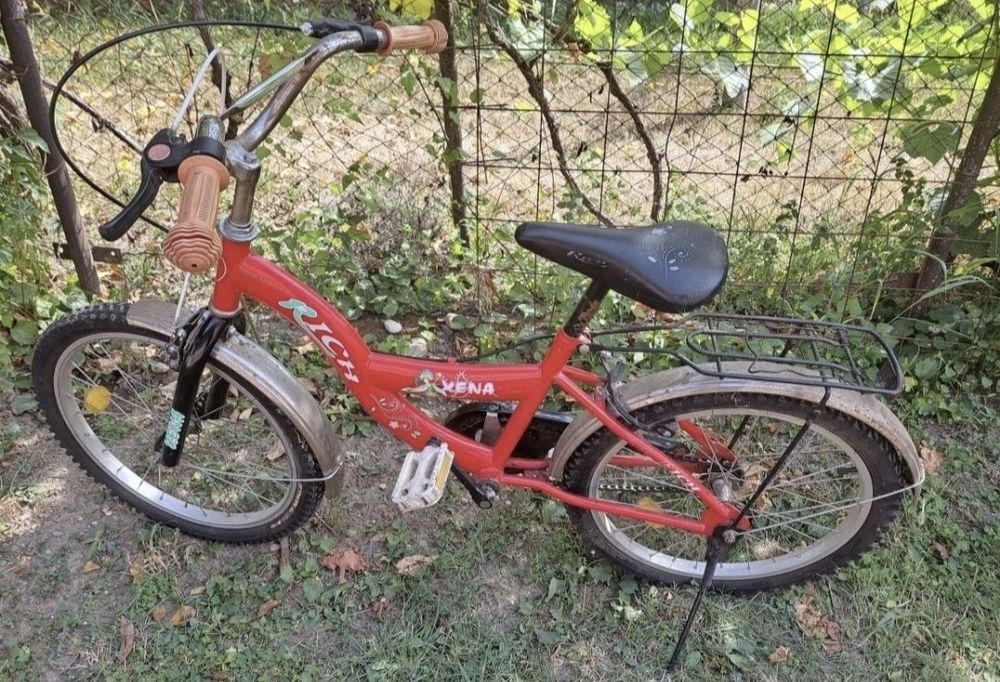 Bicicleta RICH 20" rosie