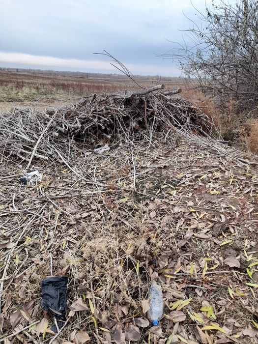 Утин сотилади(терак)