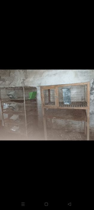 Клетки для кроликов