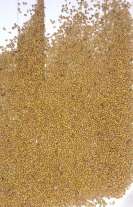 Жонышка урык бар