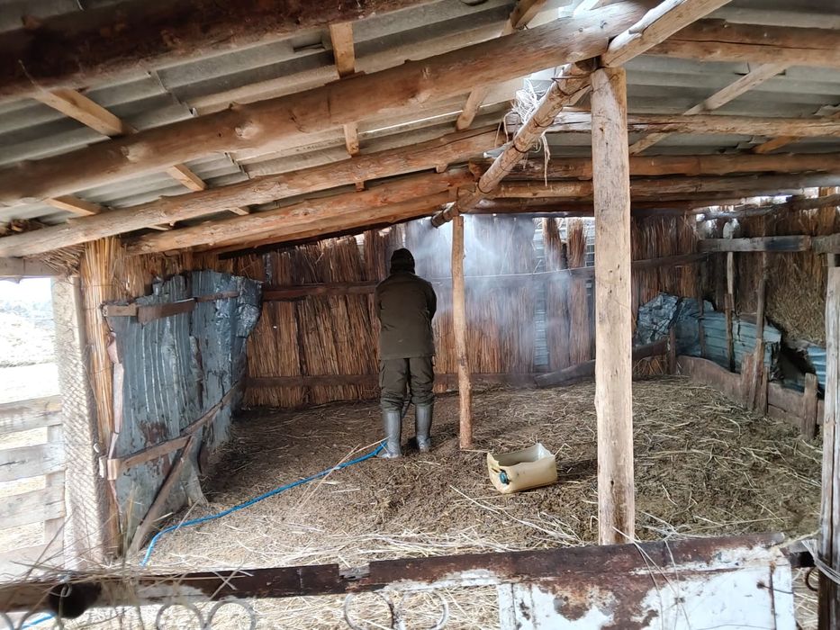 Дезинфекция. Кәсіби өңдеу.