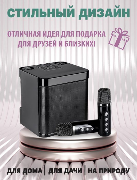 Караоке колонка с двумя микрофонами.