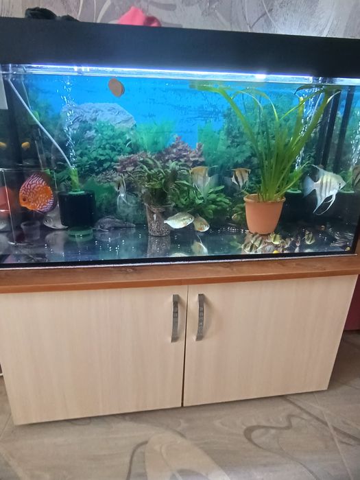 Аквариумы заводские