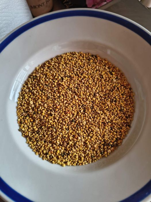 Пчелен прашец-натурален пчелен продукт без добавки