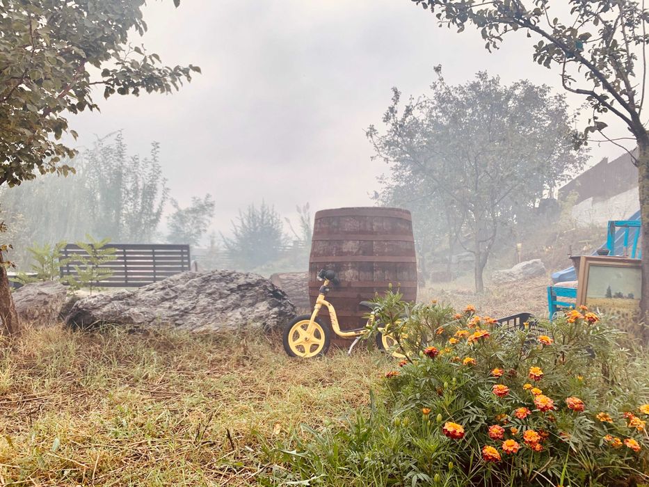 Pensiune pentru Revelion/Craciun/Majorat/Party/ETC.