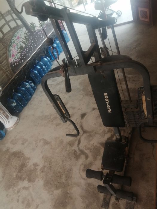 Trinajor, begavoy darojka 2tasi birda