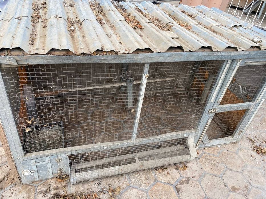 Товук клетка сотилади