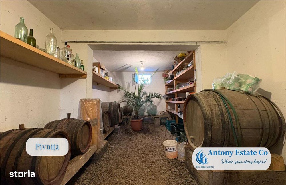 Casa cu Livada – proprietate deosebita cu livada si curte mare