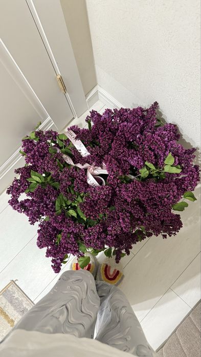 Сирень цветы 50 штук