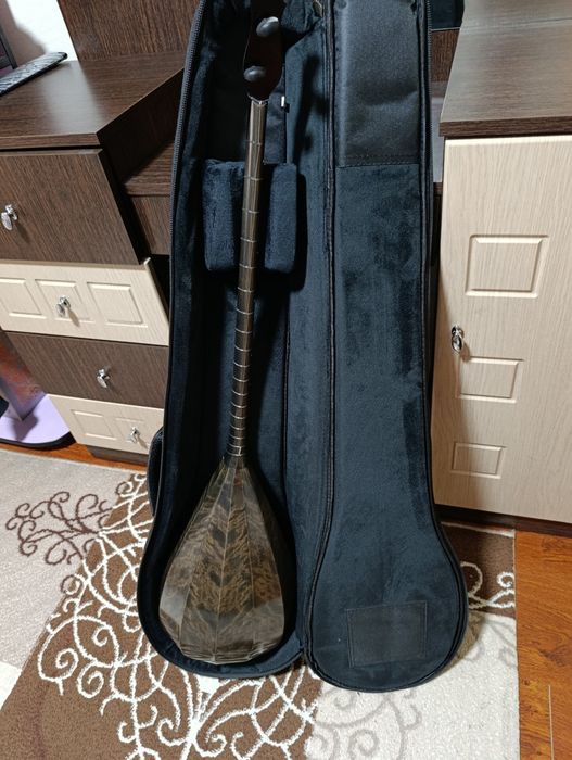 Профессионалды домбыра