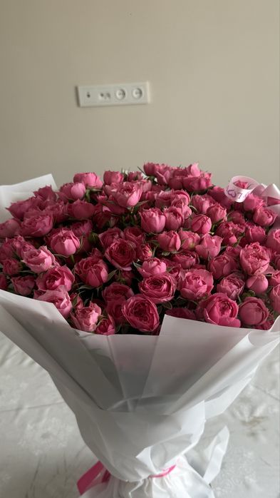 цветы вчера пришли свежие!