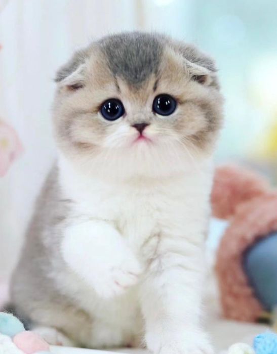 Buvimning barcha porno hikoyalari