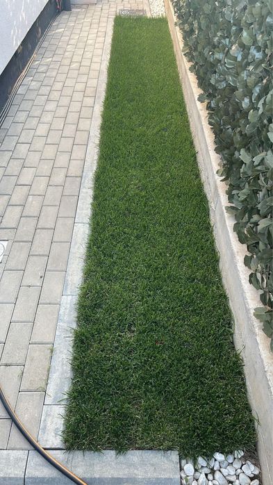 Gazon rulou natural calitate superioara