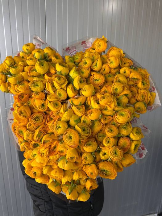 Цветы,доставка цветов,пионы,букет роз