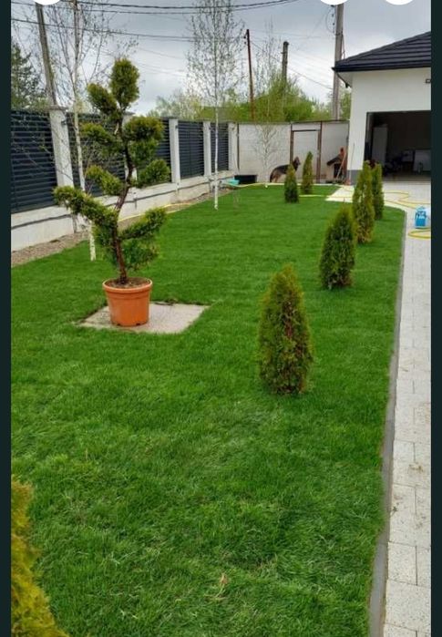 Gazon rulou la un super pret