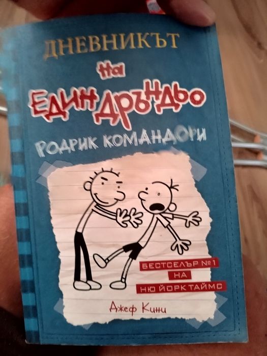 Дневникът на един Дръндьо