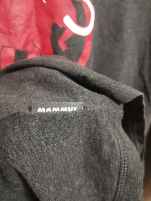 Мъжка блуза Mammut.