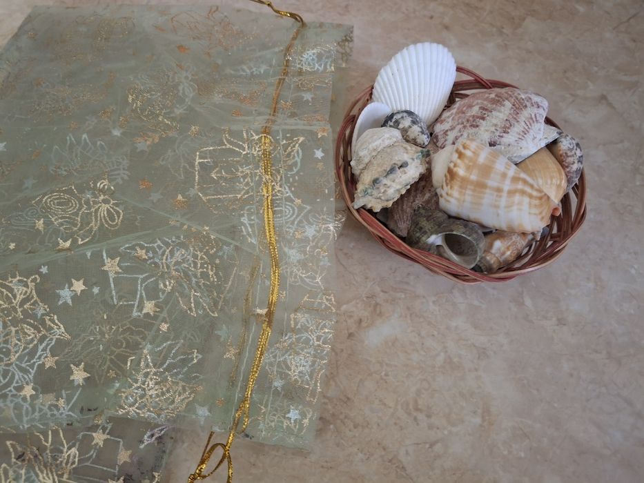 Продам  ракушки морские