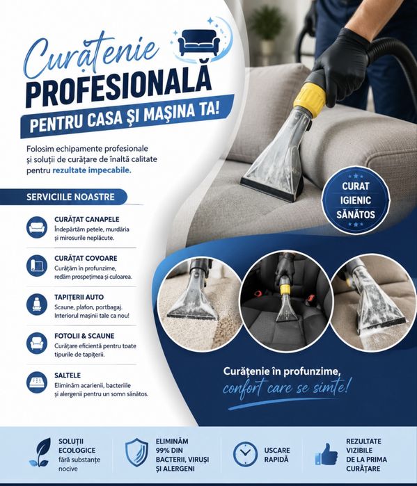 Curatare profesionala la domiciliu