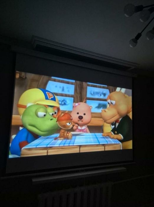 Проекционный экран Mr.Pixel MSPSBC100V2 254 см