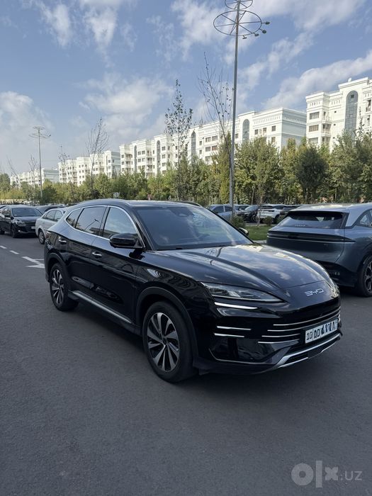 Byd chempion 2024