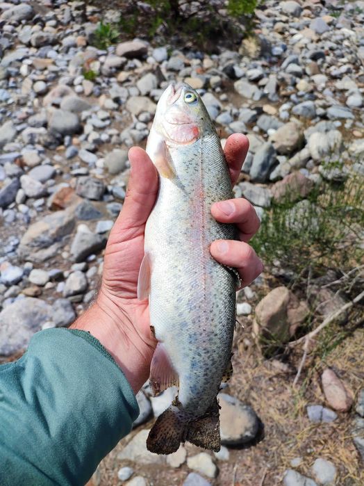 Походы индивидуальные и рыболовные туры по горам Узбекистан
