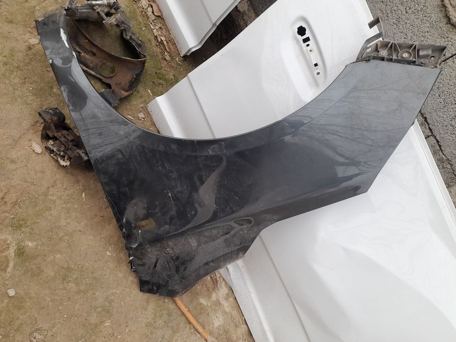 Kobilt krilo mokri 2022